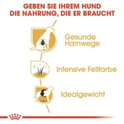 ROYAL CANIN Zwergschnauzer Adult 3kg 8 ROYAL CANIN Zwergschnauzer Adult 3kg -Zoofachgeschäft 77e331cd9fcae9ed7be9f7a8c30418a1469100cb 1e18f973f74ec6522c9cbb67634ea47bb6587bea