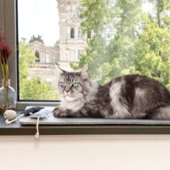 Canadian Cat Company Filzmatte Für Fensterbank Hellgrau S 9 Canadian Cat Company Filzmatte Für Fensterbank Hellgrau S -Zoofachgeschäft 7885f06a61233bc404e6a3aa7f8cd882fde8d497 1498575 de DE 613cf8659fcca6edb1e226239a406f420c510b04Tro7m3