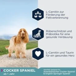 EUKANUBA Breed Specific Cocker Spaniel 7,5kg -Zoofachgeschäft 789de7a0283f46da6e4749fa099ea83b92fb80f2 afb40c73f9aec76d202ff175bd4233f0448685b1