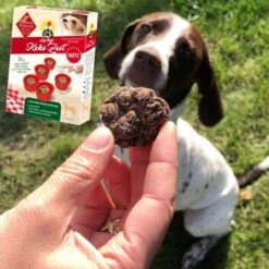 ChronoBalance Backmischung Für Hundekekse Getreidefrei + Form Mit Apfel & Dinkel -Zoofachgeschäft 791cb4d2028c3feba1e17eb7afcd1dc0477a3e51 1409548 de DE 8fa4e8db7b8a77ca60b4ef08f2d4cbbb72f1ad0bO5ya0q