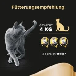 Sheba Delikatesse In Gelee 22x85g Huhn 17 Sheba Delikatesse In Gelee 22x85g Huhn -Zoofachgeschäft 7d0c61cee00487eaa7204e4ee0e0cb29425d4a1a 53fe67de08e8358e9fe1bb0859111ef670e81b29
