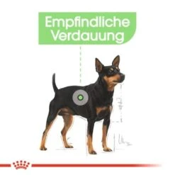 ROYAL CANIN Digestive Care Adult Pouch 12x85g -Zoofachgeschäft 8049b54ea14c9c8911e364a4e17fcf52b376b3a9 83e202518bfeb423c1d801639e8f4d0052103e42