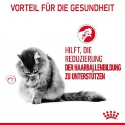ROYAL CANIN Hairball Care 12 X 85 G -Zoofachgeschäft 81812c97ef6be37b8d0c7dab9df24712cfb21604 1229818 4