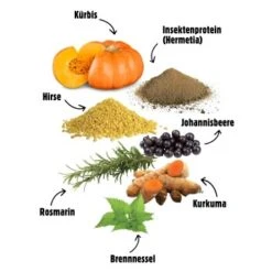 Eat Small EatSmall 24x 400g Nassfutter Wald -Zoofachgeschäft 82a13ef106eaba8d36f974cafc6f63b520c5e95b 1480174 de DE 14f419f82fdd97b5787fae56c3d39024e10a9a84MUrdkT