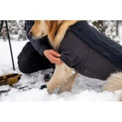 Ruffwear Cloud Chaser™ Hundejacke Schwarz XXS 17 Ruffwear Cloud Chaser™ Hundejacke Schwarz XXS -Zoofachgeschäft 839577c6525280e266f62f99f67ccc111fd75c4b 1369623 de DE 87ed046f15d6c099e4f33a0b92b8494c495a6d97bF4WS9