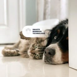 KYVETIN Spray Skin Repair Für Hunde Und Katzen -Zoofachgeschäft 851cbfa418e315e47d7ba499ec62be71e3229497 1364195 de DE KyvetinSpray 7