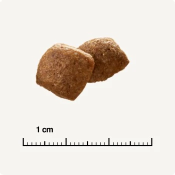 SELECT GOLD Urinary Adult Geflügel & Reis 2,5 Kg 5 SELECT GOLD Urinary Adult Geflügel & Reis 2,5 Kg – Bild 5