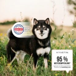 KYVETIN Spray Skin Repair Für Hunde Und Katzen -Zoofachgeschäft 855eb3c7fca7c841451cde094ef9ccbea4bfbca8 1364195 de DE KyvetinSpray 5