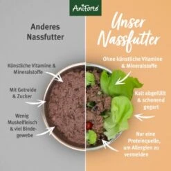 Aniforte GreenfieldTurkey Pute Mit Quinoa 2,4 Kg -Zoofachgeschäft 87fa8abed10a2dd56385d42b5e4495a316e5e475 1422188 de DE fcf542fb4d42b977b010bc0c68872ccabafd165c8P5Yor