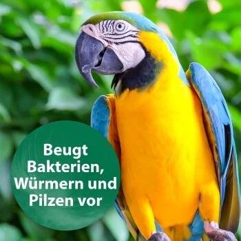 Quiko Med V Liquid 100 Ml: Mit Hochwertigem Oregano-Öl Für Ziervögel 3 Quiko Med V Liquid 100 Ml: Mit Hochwertigem Oregano-Öl Für Ziervögel – Bild 3