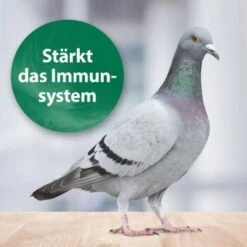 Quiko Med 75 G -Zoofachgeschäft 891109defdd0cc1b45825661a19ad8f09342ca0f 1387822 de DE 025daf49bd602db4fb789c7adb568297fc248492JupJIT