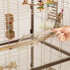 Montana Cages Voliere Paradiso 90 Schoko 12 Montana Cages Voliere Paradiso 90 Schoko -Zoofachgeschäft 8a51e1e8340559f25f4320aa285908e55a235d2f 1200892 de DE 0576ffe209ea05253ebe1a6e08466fe13ae3f4a3jFC7T8