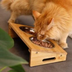 Lionto Futterstation Mit Bambusgestell -Zoofachgeschäft 8c56991d507e18b3df4a2f4045dbd93cd3bd9353 1665980 de DE aa6482f6e46fc6375e62da8010ac0599c0ca4960aJFeP6