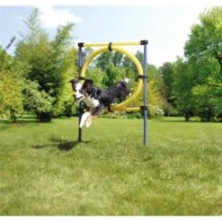 AniOne Agility Set 16 AniOne Agility Set -Zoofachgeschäft 8dd2c346cfba9b57b3f14270694b3f975d0558fa 8ae19109d8863c833405d8d5b2e72b4315e858f5