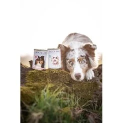 DOG'S LOVE Adult Hypoallergen 6x400g -Zoofachgeschäft 8e9dbde41a1a7703f7e724e8cfbb5769f1859ef8 1274558 2