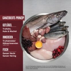 Orijen Small Breed 1,8 Kg 8 Orijen Small Breed 1,8 Kg -Zoofachgeschäft 92286c476810c7b637c586243b9c49057f9a6f82 1350899 de DE ORI Small Breed Dog Carousel 2000x2000 DE 2