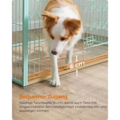 FEANDREA Welpenauslauf 4-teilig Schwarz Mintgrün 10 FEANDREA Welpenauslauf 4-teilig Schwarz Mintgrün -Zoofachgeschäft 9309392d7cb4389d83a39fc6dbb20378aeb31adf 1500915 de DE d17e1153ac97c90e9e57d018e3e78bdade2a7f61y3I5DK