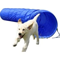 Dobar Agility Tunnel, 60 X 500 Cm