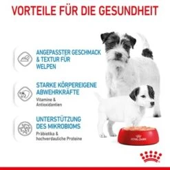 ROYAL CANIN Starter Mousse 12x195g 13 ROYAL CANIN Starter Mousse 12x195g -Zoofachgeschäft 9355c112198d1d7f6f1735a4ed04081f03514a9a 9003579010532 5