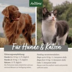 Aniforte Indische Flohsamen 1kg -Zoofachgeschäft 9563ee42098cd0f28c17bf140caef7962aadb9cf 1332845 de DE 3dcddf4d122d51a6dbaac2ef378e46b41dae8049YgcdV5