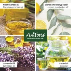 Aniforte Grasmilben-EX Spray Für Hunde 500ml 7 Aniforte Grasmilben-EX Spray Für Hunde 500ml -Zoofachgeschäft 98329358e5e2ef353de9a78ab0da91fe0a2f3051 1655910 de DE 13bbe2651517a00574d86841d6226b7aad68eefbwKkY86