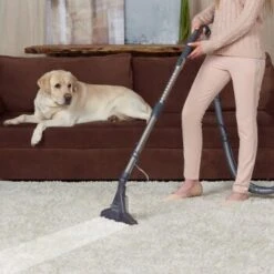 THOMAS DryBox Amfibia Pet -Zoofachgeschäft 9953282c61e03abd8b9e8af05edae29417570062 1406734 de DE 1c8fb73e21f9aae62063930fedd2d58afb94e8aanSOWPf