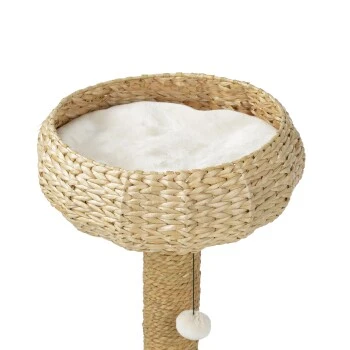 AniOne Kratzbaum Saki 8 AniOne Kratzbaum Saki – Bild 8