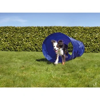AniOne Agility Tunnel 3 AniOne Agility Tunnel – Bild 3