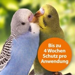Ardap Spot-On Für Ziervögel & Brieftauben 9 Ardap Spot-On Für Ziervögel & Brieftauben -Zoofachgeschäft 9b899314fb738b053685da335e4670f2d75786e9 1227326 de DE cbf8d013d4256d60577e01ac4d0d3b9782cb3ad0UKAghT
