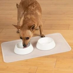 KaraLuna Basic Napfunterlage Transparent L -Zoofachgeschäft 9ba40d7c74ee8125e59b22c7e83e8b1c6e9b7d62 1407477 de DE 14497c23a79b7136237df13f9c32b5ed84fd5ff0LsA92E