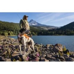 Ruffwear Front Range™ Halsband Rubin M 11 Ruffwear Front Range™ Halsband Rubin M -Zoofachgeschäft 9d379602355f034ae9971211c6e6a3e5df163921 1651572 de DE 909910a450e598cc9a7c8e716806e7fc60aacb0dycwxLj