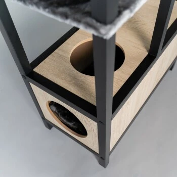 RHR Quality RHRQuality Maine Coon Feline Elite 190 Anthrazit/ Schwarz 3 RHR Quality RHRQuality Maine Coon Feline Elite 190 Anthrazit/ Schwarz – Bild 3