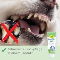DentaVet Gel 35g 10 DentaVet Gel 35g -Zoofachgeschäft a0d4d3bd9437af6bafea1b3b7a3c5a28814220c7 1249039 de DE 4ce29d2ba67554731965330067a7d46dd701a488pV84j2