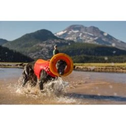 Ruffwear Hydro Plane™ Spielzeug M Orange -Zoofachgeschäft a3976cd8510df92d7b86f42c35fd984bc0313421 1364300 de DE 7e1ea9adae25d55e79a8aed2cc6dc797ac8d0d03R1qvUL