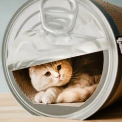 District 70 CAN Cardboard -Zoofachgeschäft a4cd0fa7850dfd13b737775762ce59afa0fa6bcc dc81845d134bfb19e2eca4e5bc9344d6856acd6a