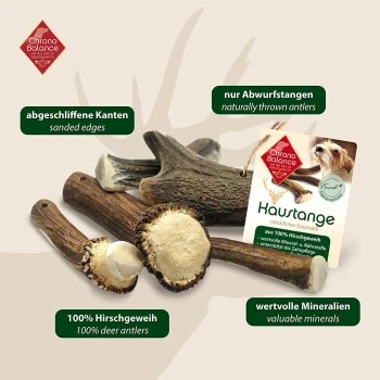 ChronoBalance Geweih Halbiert (XXL) 2er Paket 6 ChronoBalance Geweih Halbiert (XXL) 2er Paket – Bild 6