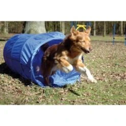 Dobar Agility Tunnel, 60 X 500 Cm 6 Dobar Agility Tunnel, 60 X 500 Cm -Zoofachgeschäft a70db425a55e65c0dd33cb4658677f3cead28e72 3dc1d9596c73e287c8ea8bc83f8445abe7adc92a