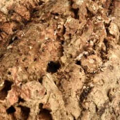 HappyBird Kork Sitzbrett XL 10 HappyBird Kork Sitzbrett XL -Zoofachgeschäft a774c45f38b43354bd86d7a04e9ad16d0eaf1a6c 1416847 de DE 4d26871b626013948e4cb08465e286887bfaaa137dh8BQ