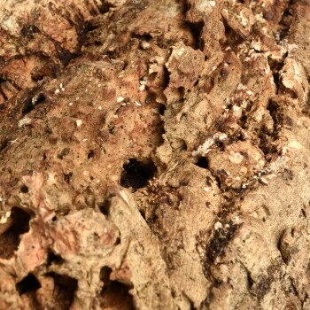 HappyBird Kork Sitzbrett XL 5 HappyBird Kork Sitzbrett XL – Bild 5