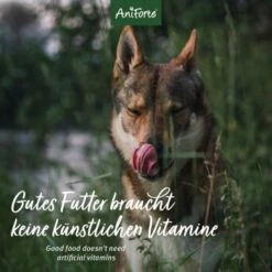 Aniforte GreenfieldTurkey Pute Mit Quinoa 2,4 Kg -Zoofachgeschäft a9c6f59e54f0b6f1b44e9f9ed8f792c0291cc47c 1422188 de DE 12b8cfe33ee675107bc8329d05c3a48ecec8adbaiHjtaM