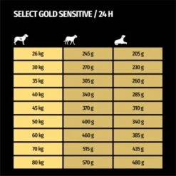 SELECT GOLD Sensitive Senior Maxi Lamm & Reis 4 Kg 13 SELECT GOLD Sensitive Senior Maxi Lamm & Reis 4 Kg -Zoofachgeschäft aa78ff5876e7610406354855bc1742a79f0eb6d9 1001718008 de DE 7