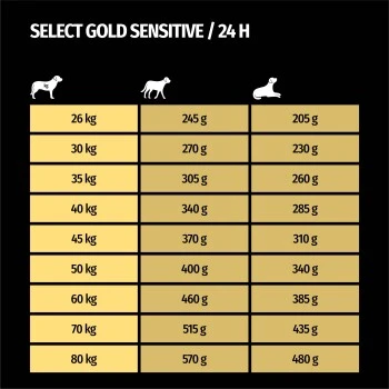 SELECT GOLD Sensitive Senior Maxi Lamm & Reis 4 Kg 7 SELECT GOLD Sensitive Senior Maxi Lamm & Reis 4 Kg – Bild 7