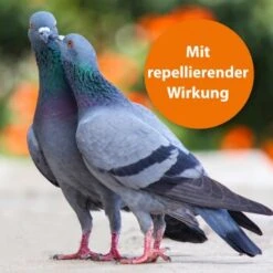 Ardap Spot-On Für Ziervögel & Brieftauben 8 Ardap Spot-On Für Ziervögel & Brieftauben -Zoofachgeschäft ae58a2b8111f99b0d5f141011cb4d5292b63d3c9 1227326 de DE 177446f52341c8e701898dbab4eaebf3cf8dbc70uMQM7k