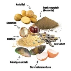 Eat Small EatSmall 20x Snacks Mobility -Zoofachgeschäft ae7102faf33cb331df45f66107b25163c01da13d 1480044 de DE c061c493f5d6cca99df67cb07fe61953e4b50fffsDlyVE