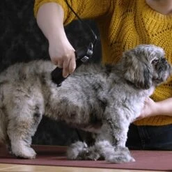 Moser Schermaschine Max 45 Inkl. ASK 9 Moser Schermaschine Max 45 Inkl. ASK -Zoofachgeschäft b0d4eca208b1c44fde9769108a0a7feb3a3a5ad2 da57035be550c76ab9dcf7d8dbc15959d076f3f0