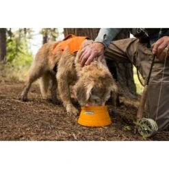 Ruffwear Bivy™ Faltbarer Napf 8 Ruffwear Bivy™ Faltbarer Napf -Zoofachgeschäft b21f85e12f046bba6b04285e99963c46170021f9 1651613 de DE 125ef372cbb05a1c89e3245701a5cdf0079102b6GpOPij
