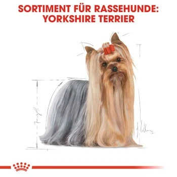 ROYAL CANIN Yorkshire Terrier Adult 1,5 Kg 6 ROYAL CANIN Yorkshire Terrier Adult 1,5 Kg – Bild 6