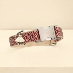 THE DOG IDEA Boho-Chic Halsband June S -Zoofachgeschäft b3c9dfdf3693ef83b47a309596170d71d8417e41 1662735 de DE efcadfbc364cbb2d1dde0e620b7cc3008ade783cb2Z8cO