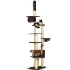 Trixie Kratzbaum Madrid -Zoofachgeschäft b46acd85ea9414eb1f29b23bef67460a69e4cf99 8236b84dd00f63f8f9c3ba5a6d1715022ce89cd5