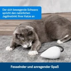 PetSafe Automatisches Katzenspielzeug RoloRat -Zoofachgeschäft b65e953878b463eb5125c940634b84e8b7c79a3f 1351522 de DE 3daf7dbb27d01ce7d63f06677a32dd6cde28abb9X2tLJP